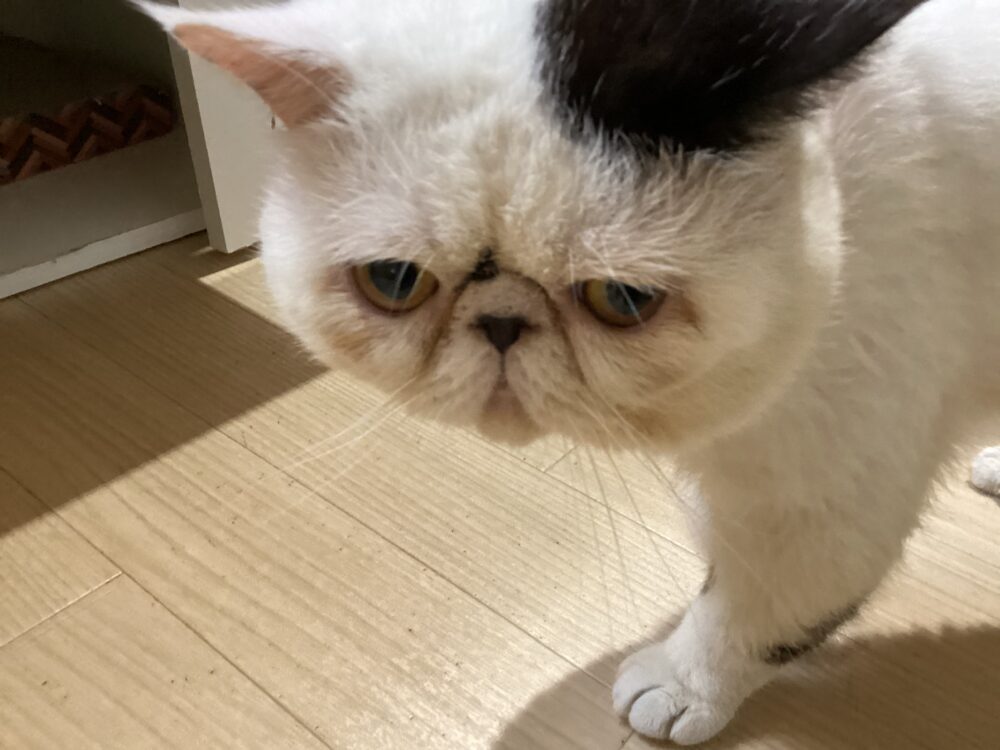 雨降り☔️火曜日