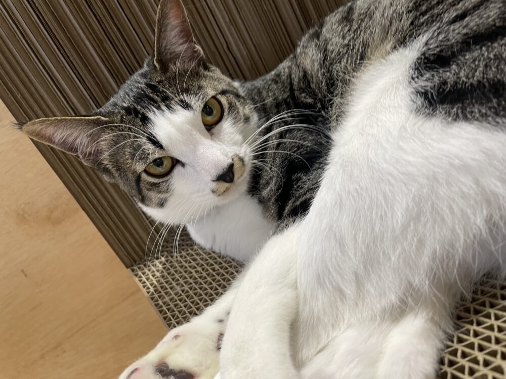 まったり金曜日☺️