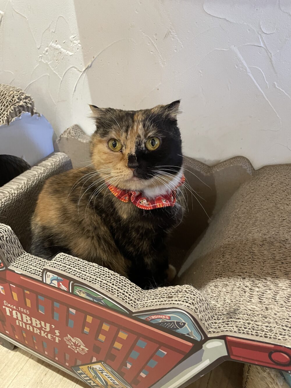 楽しい土曜日😆