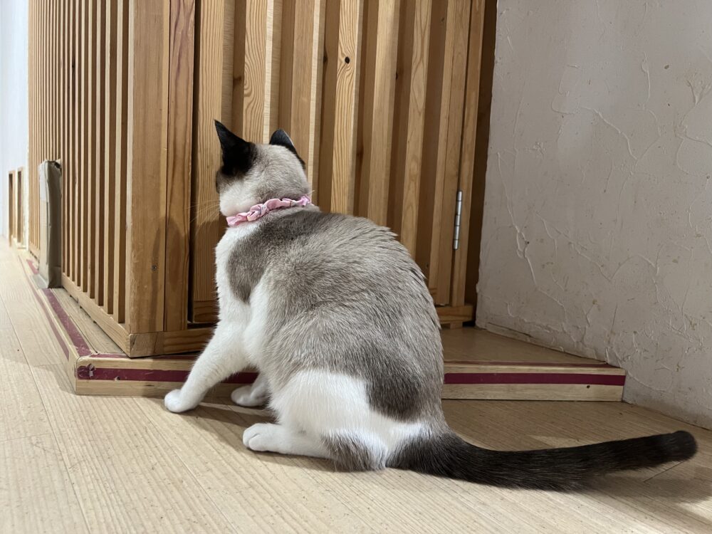 そわそわ☁️火曜日