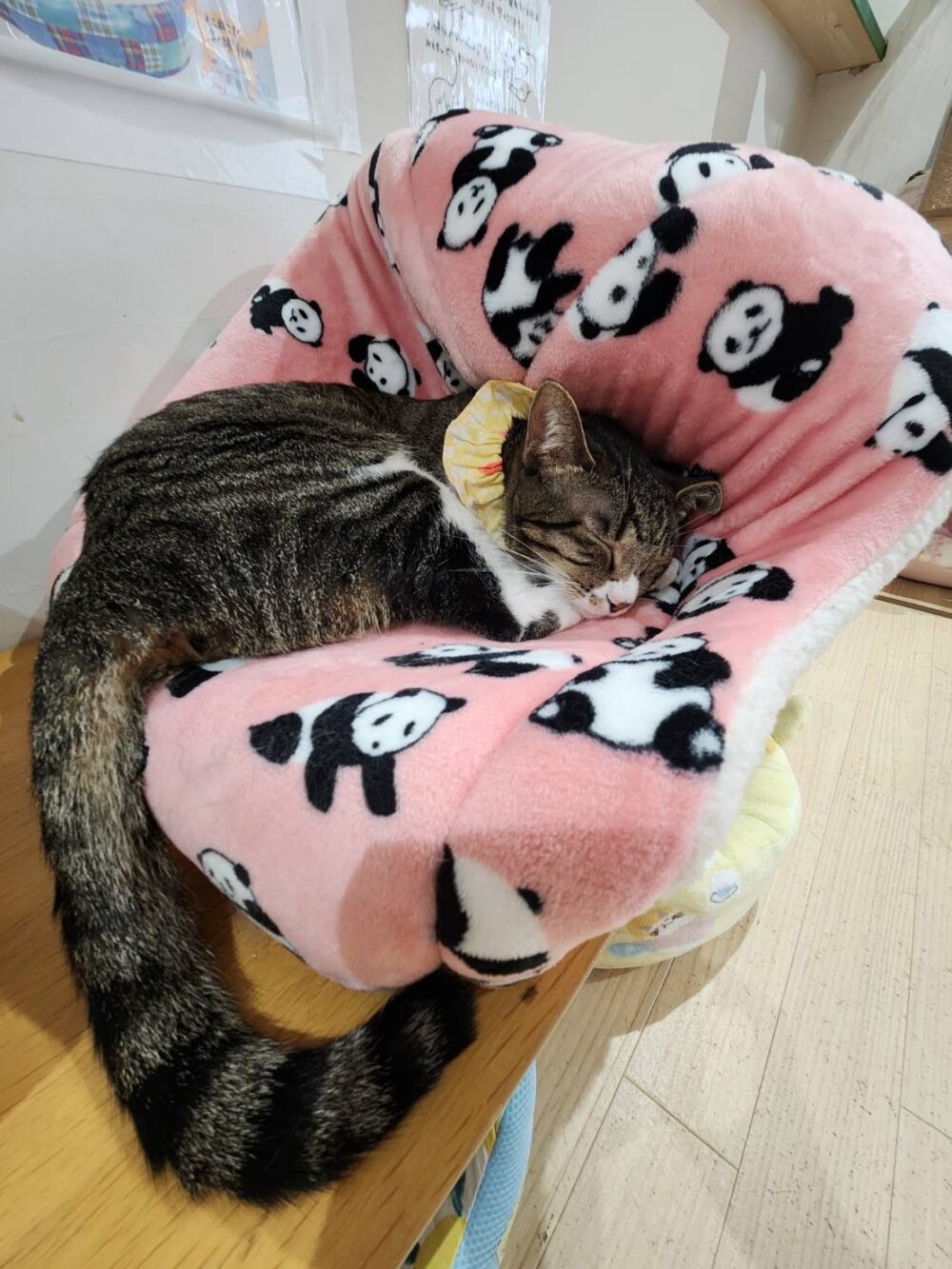 本日は定休日です☔️