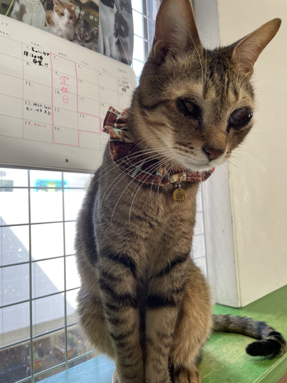 楽しい月曜日😆嬉しいお知らせも