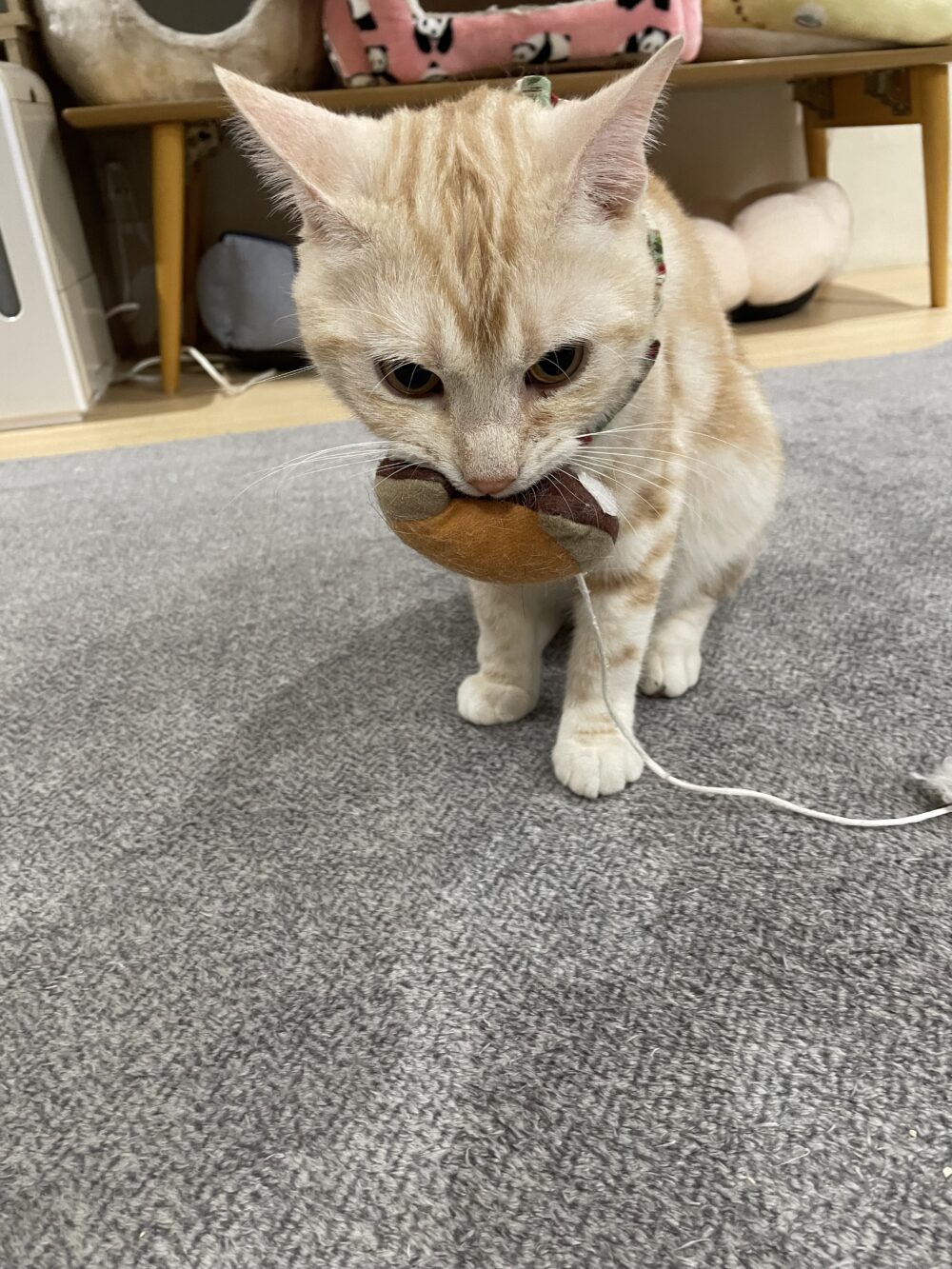 しとしと土曜日☔️