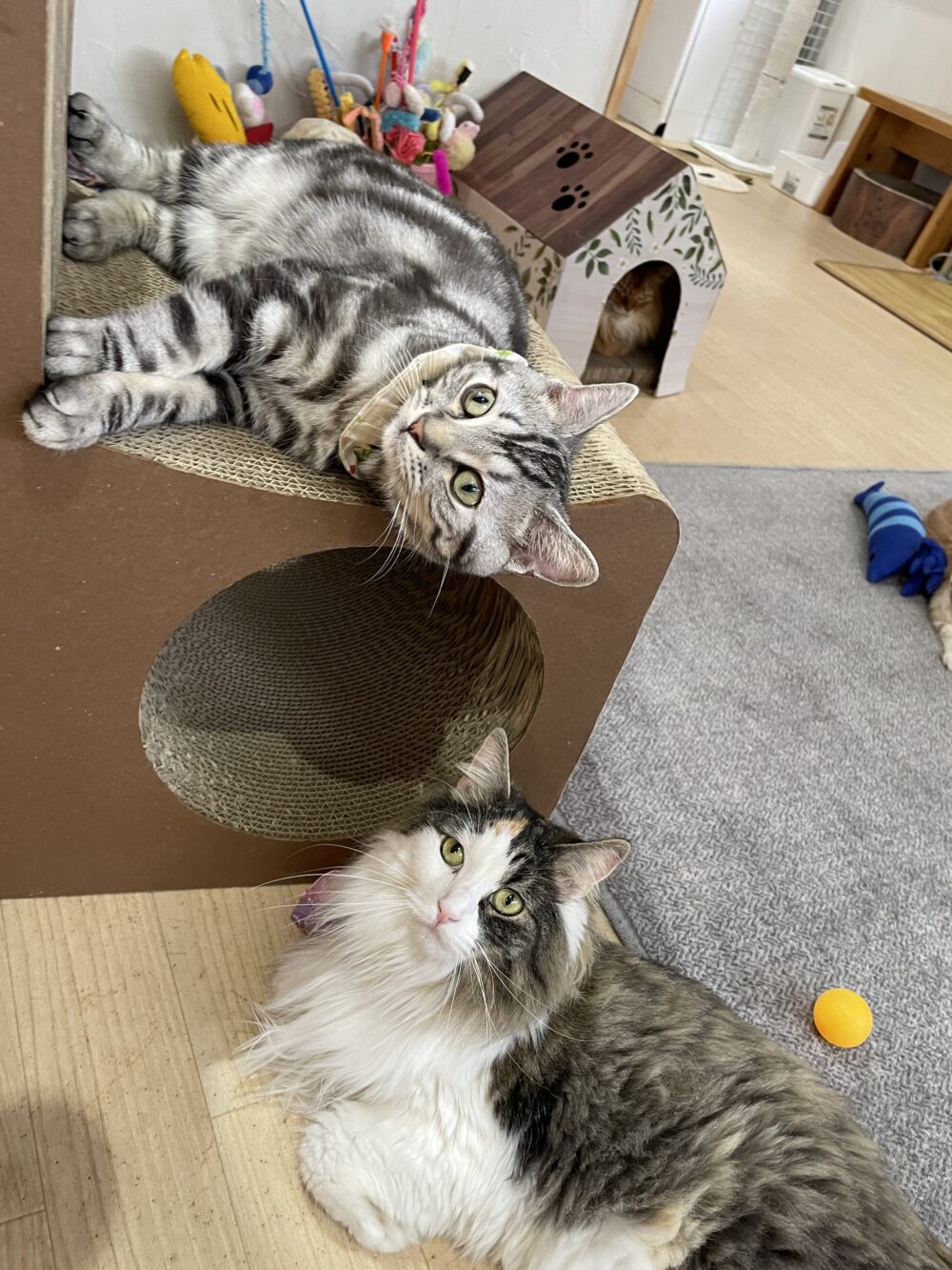 のんびり金曜日☺️
