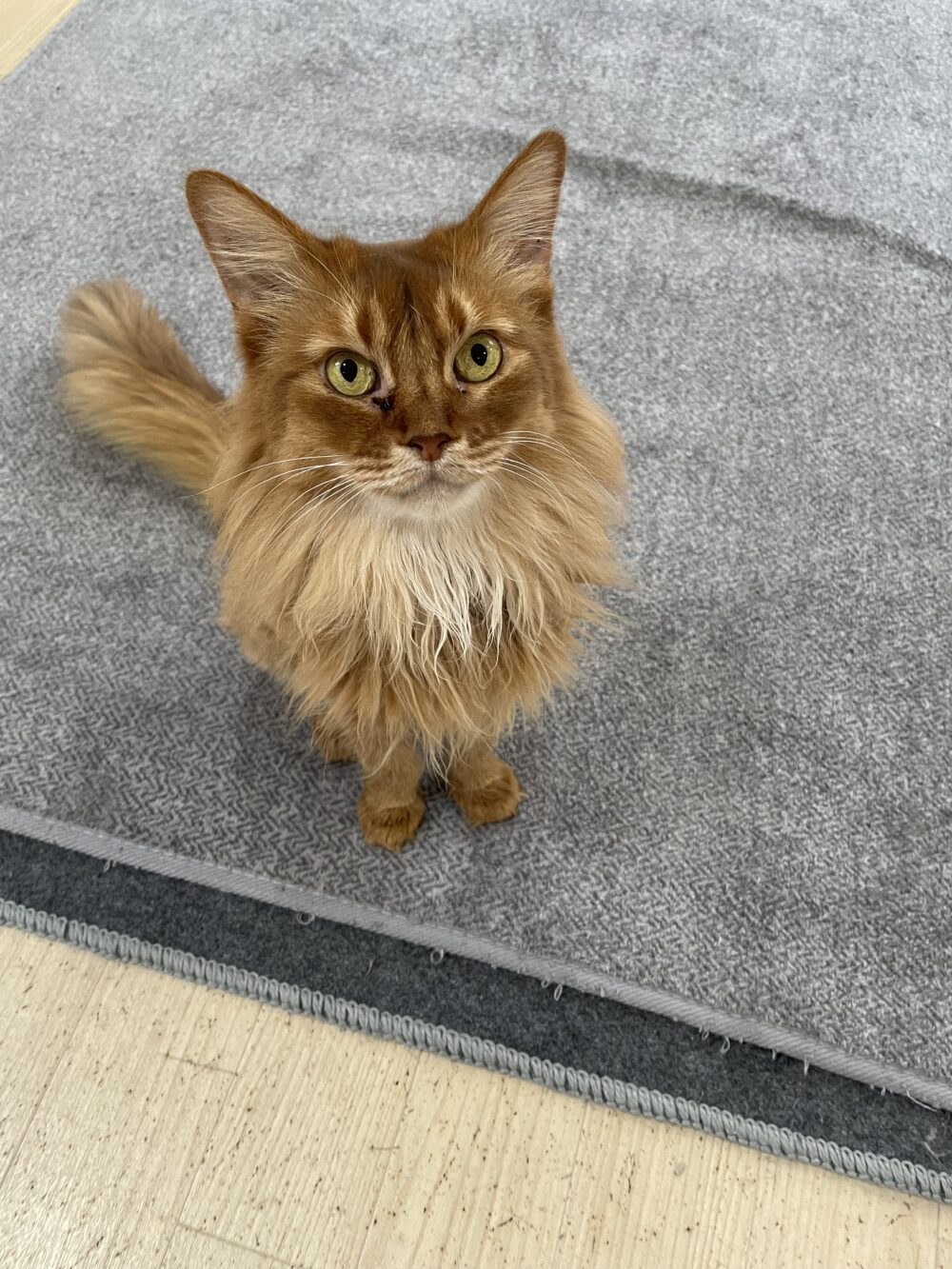 のびのび月曜日☺️