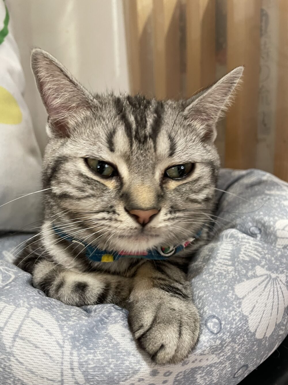 遊ぶ土曜日☺️