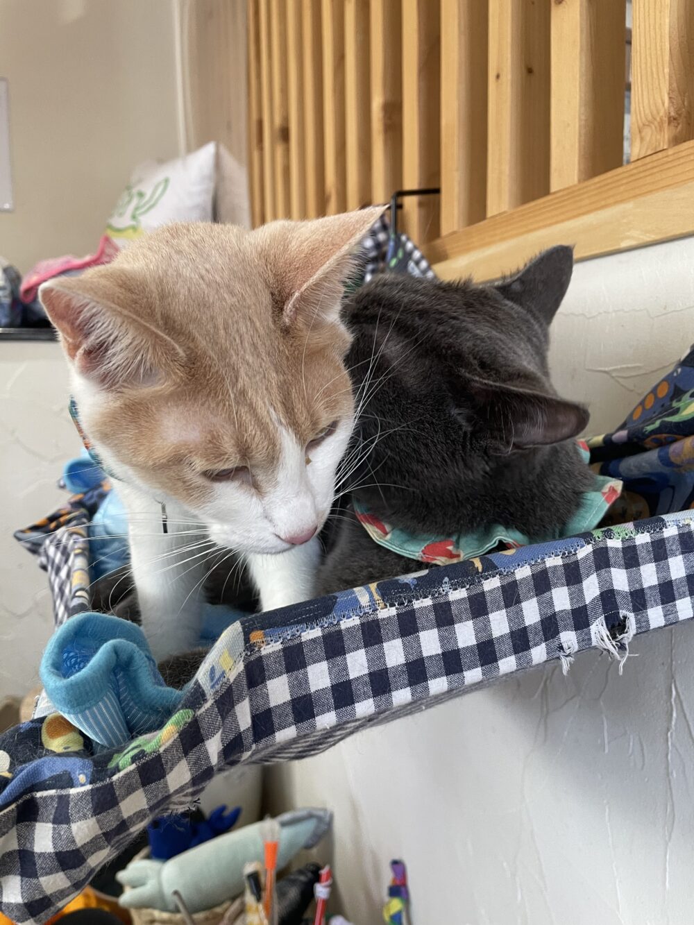 楽しい土曜日😄