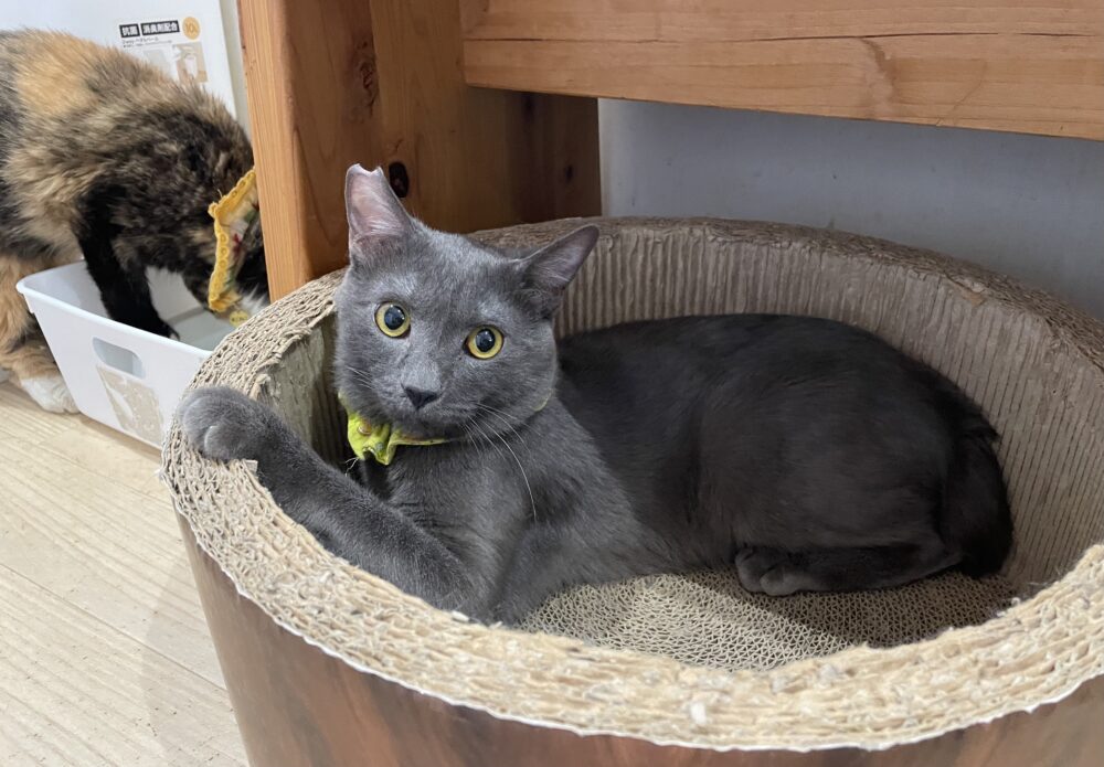 遊ぶ土曜日😁お知らせも