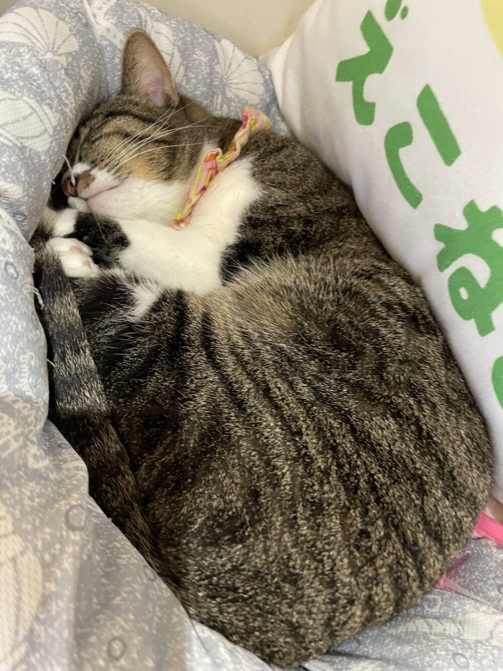 のんびり金曜日☺️