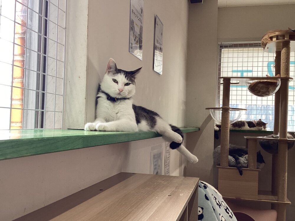 本日は定休日です🤗