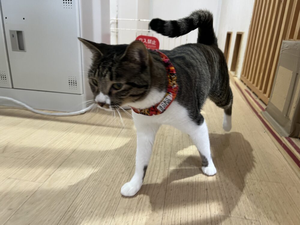 そわそわ💨火曜日