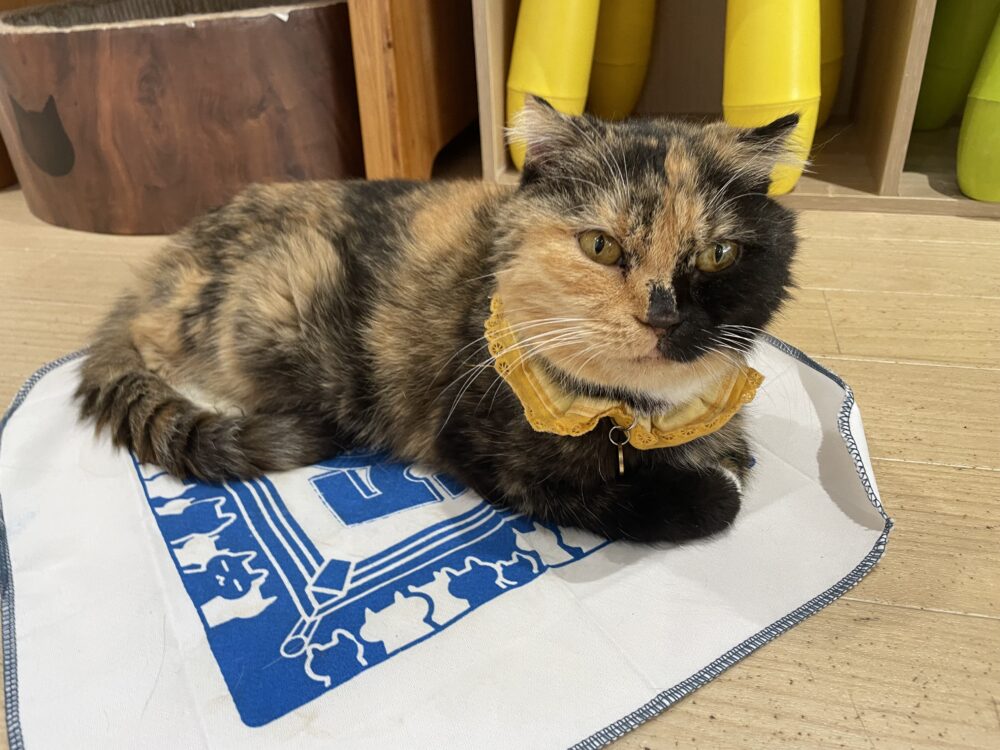 ドタバタ月曜日😂