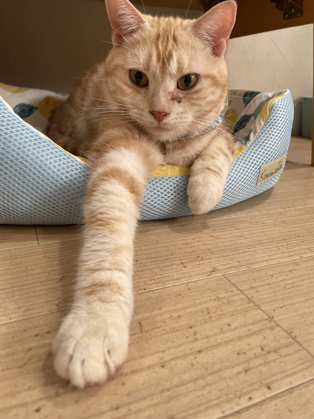 まったり月曜日😊