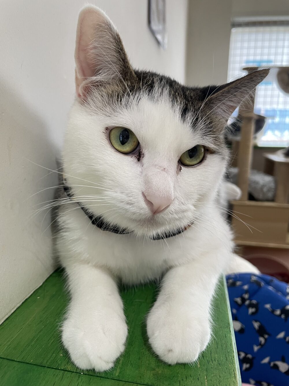 楽しい土曜日😆