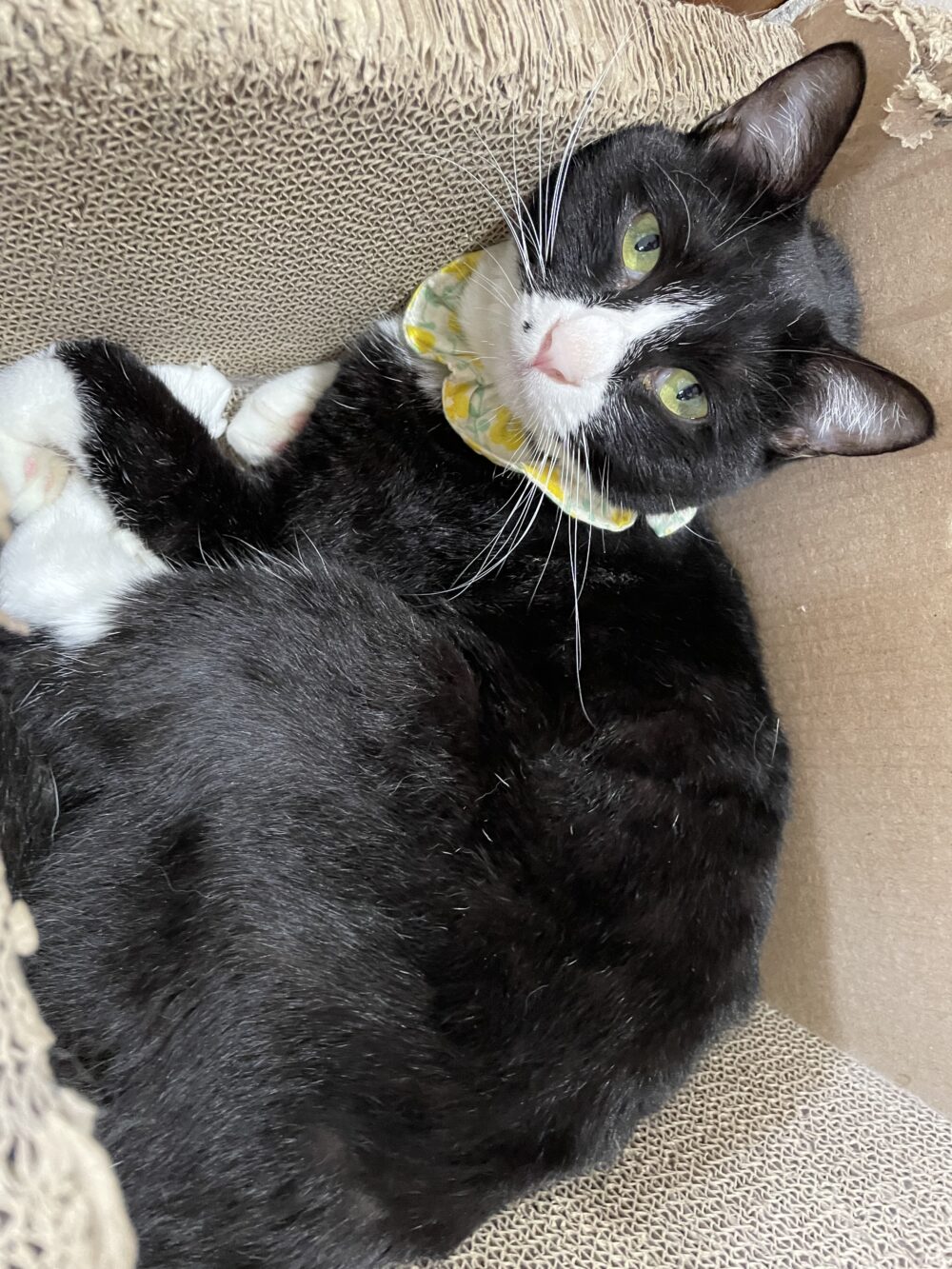 涼しい金曜日😗