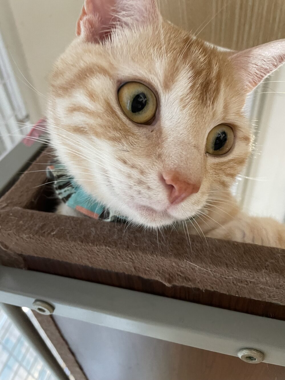 快適🎵土曜日🎵嬉しいお知らせも