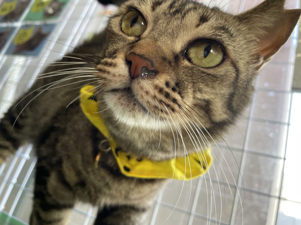 のびのび土曜日😊