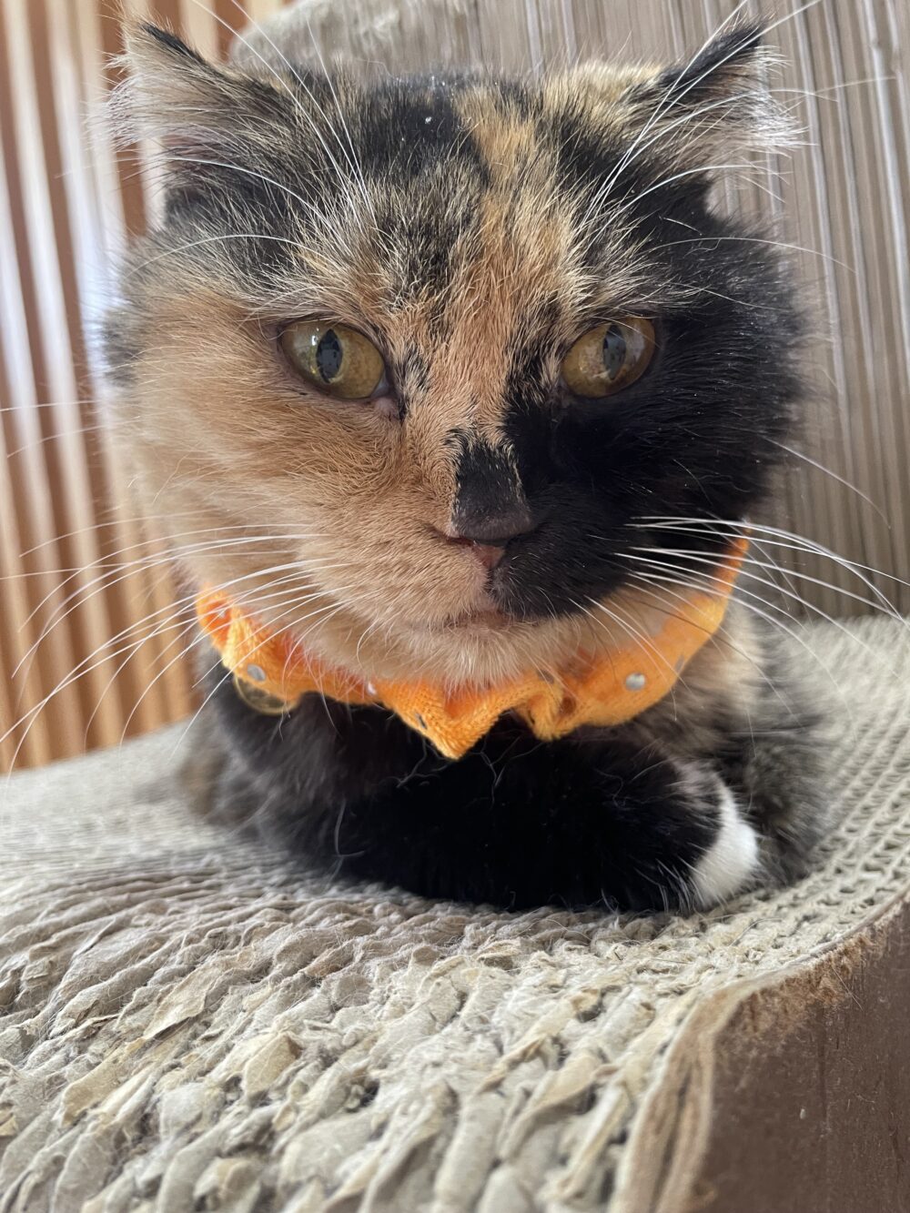 ゆったり月曜日😊