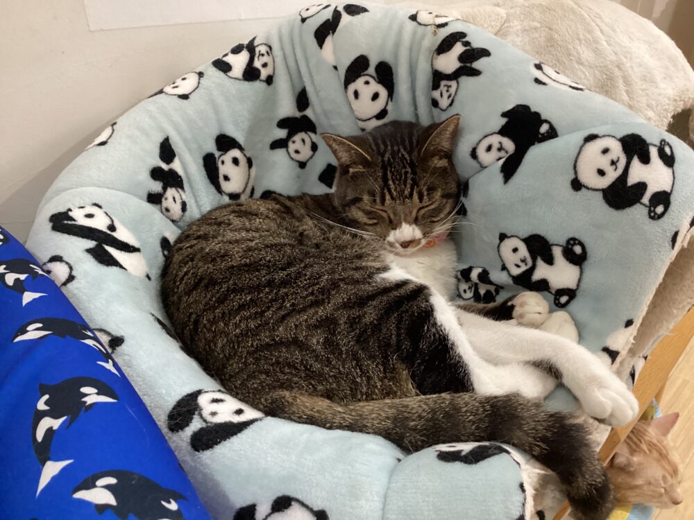 本日は定休日です😊