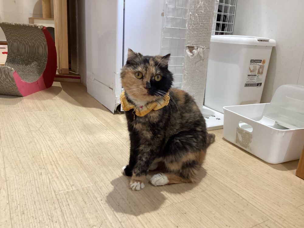 本日は定休日です😊