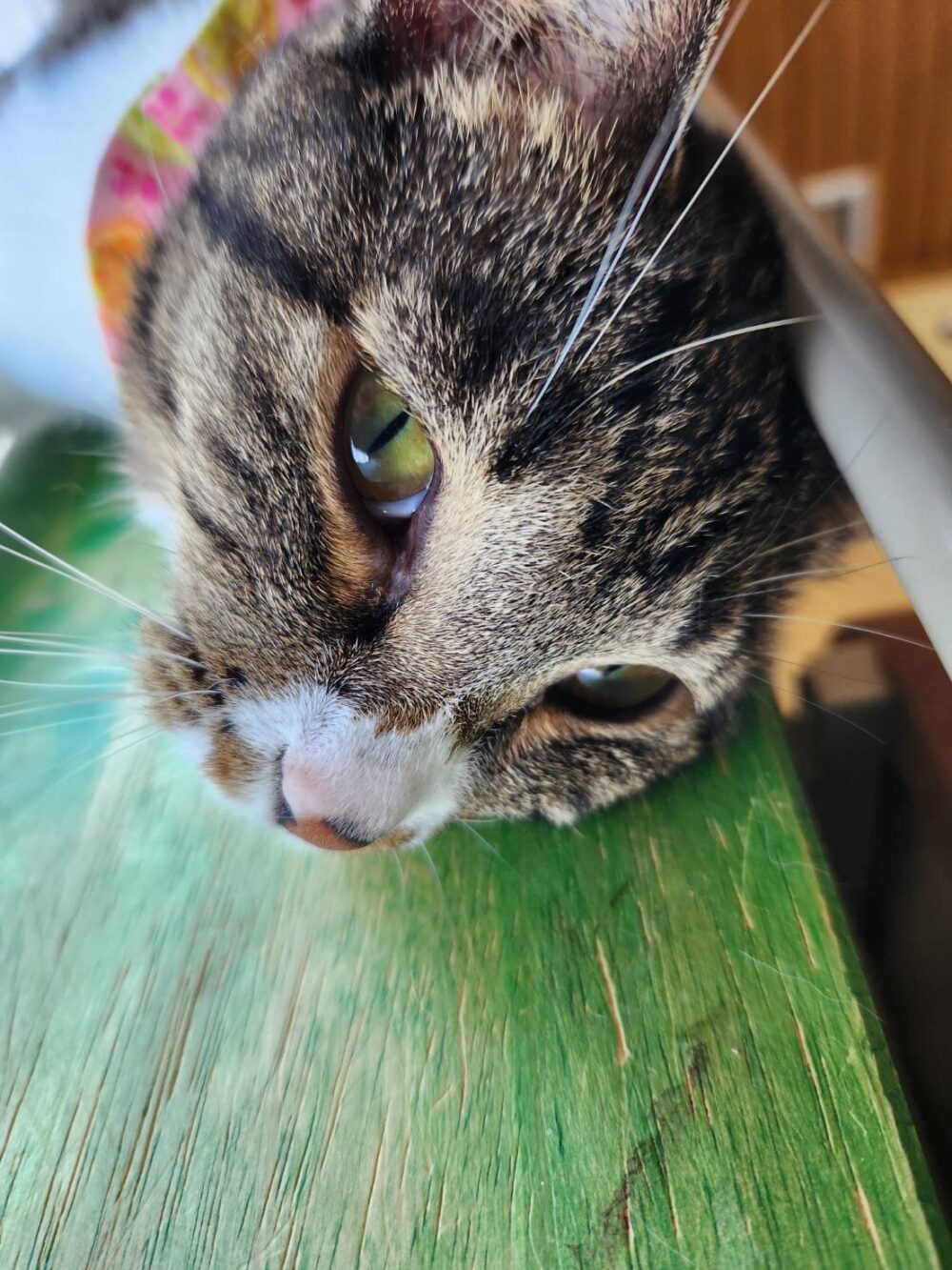 本日は定休日です☺️