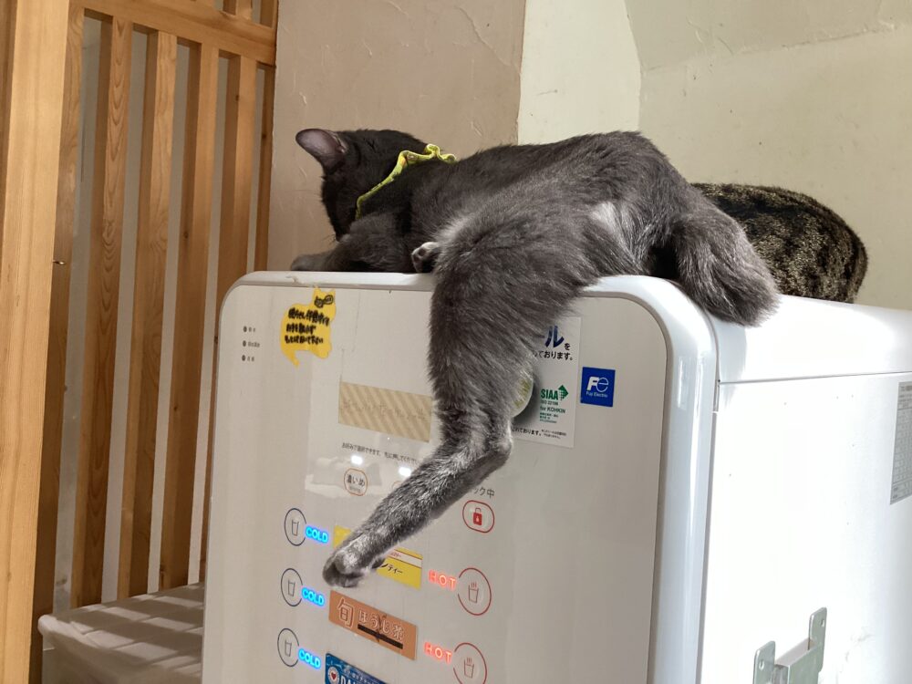 ニコニコ火曜日☺️