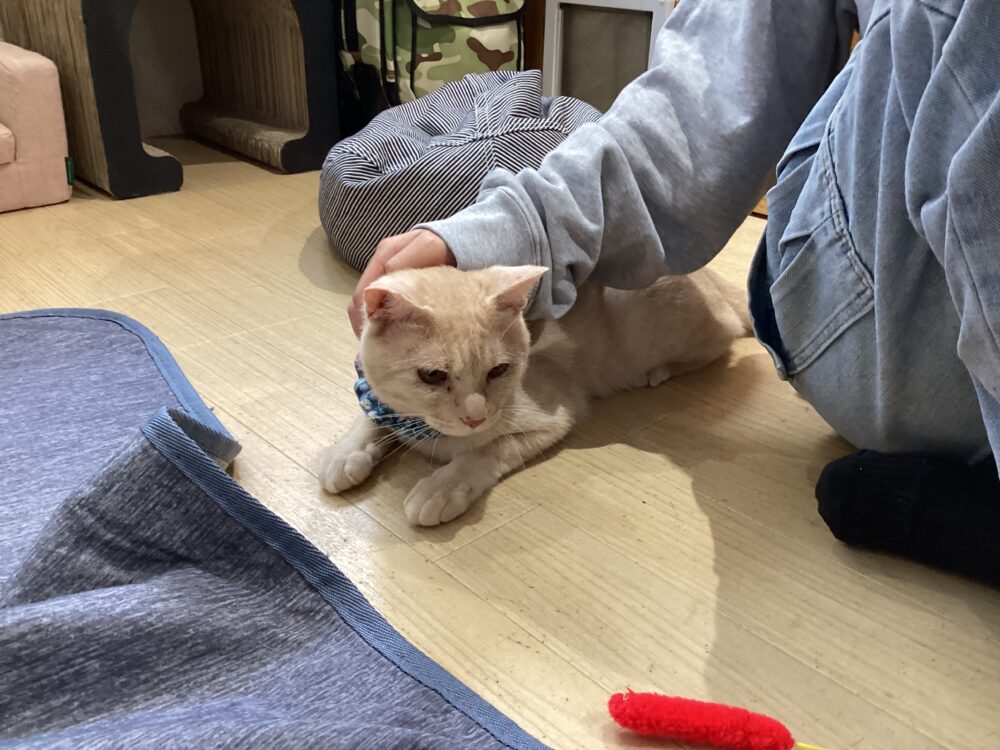 元気な木曜日😃