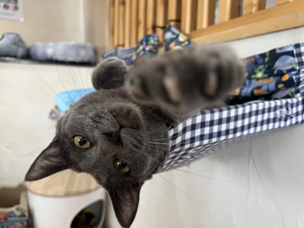 わいわい🤝日曜日