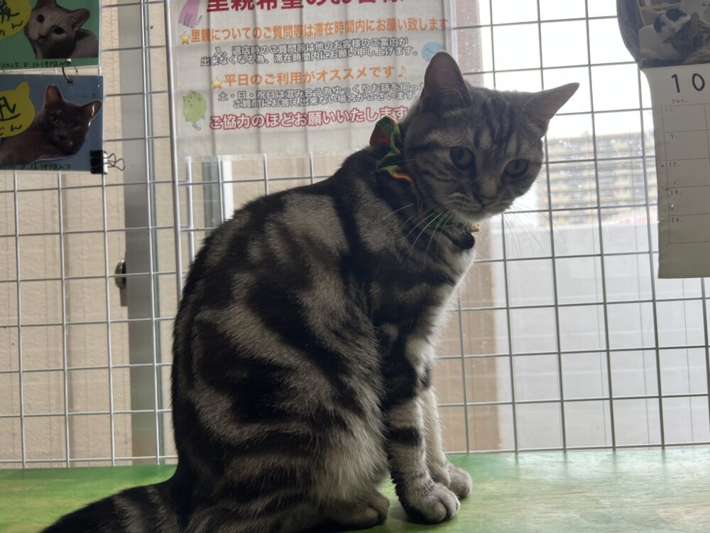 しとしと☔️木曜日