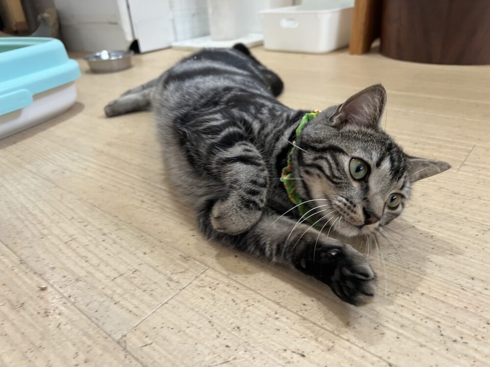 6日営業時間変更のお知らせ