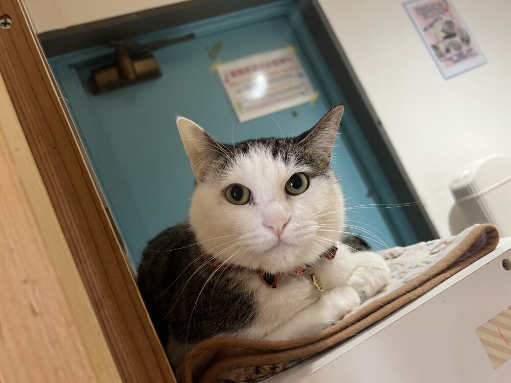 のんびり火曜日