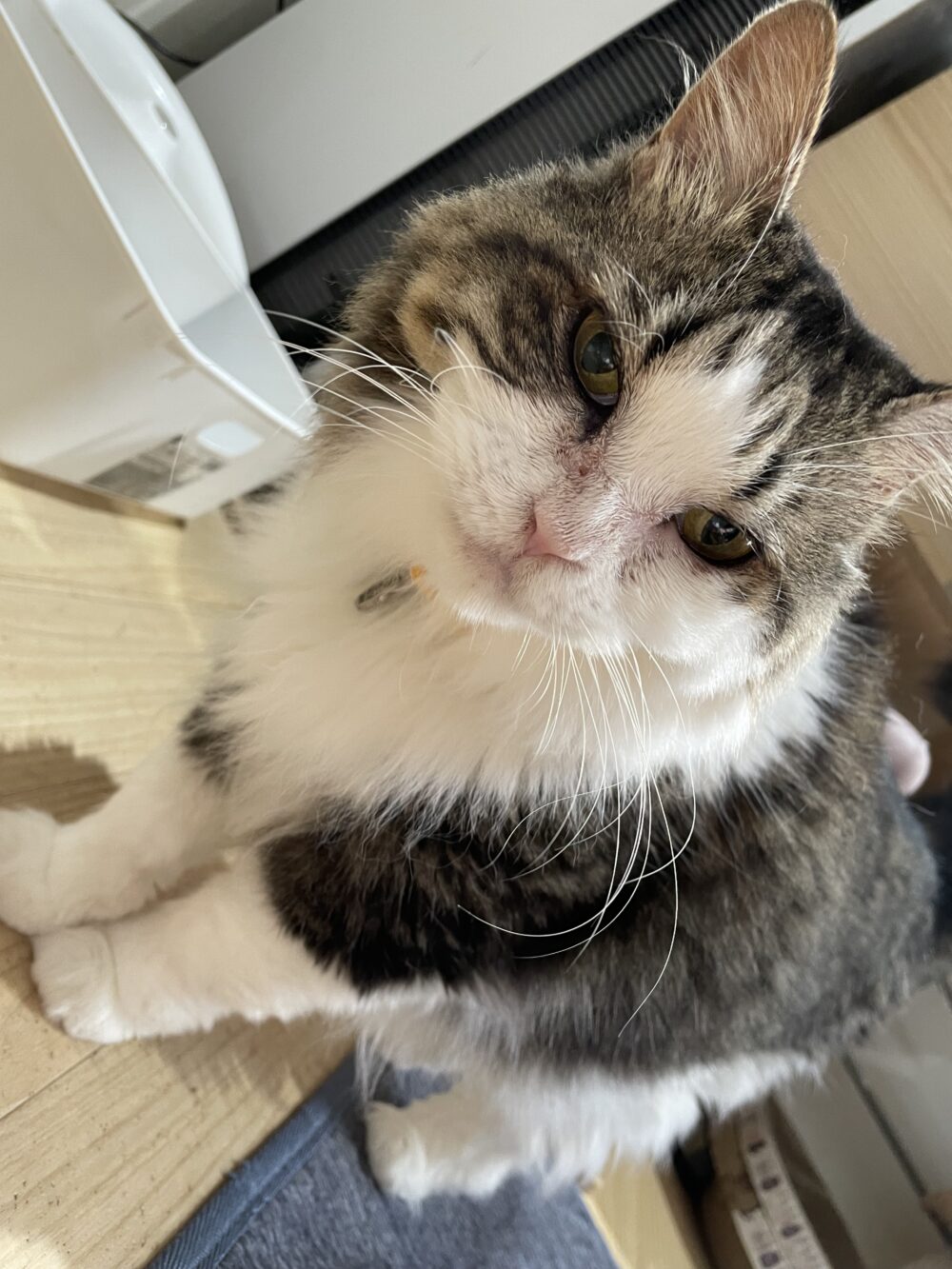 のんびり金曜日☺️