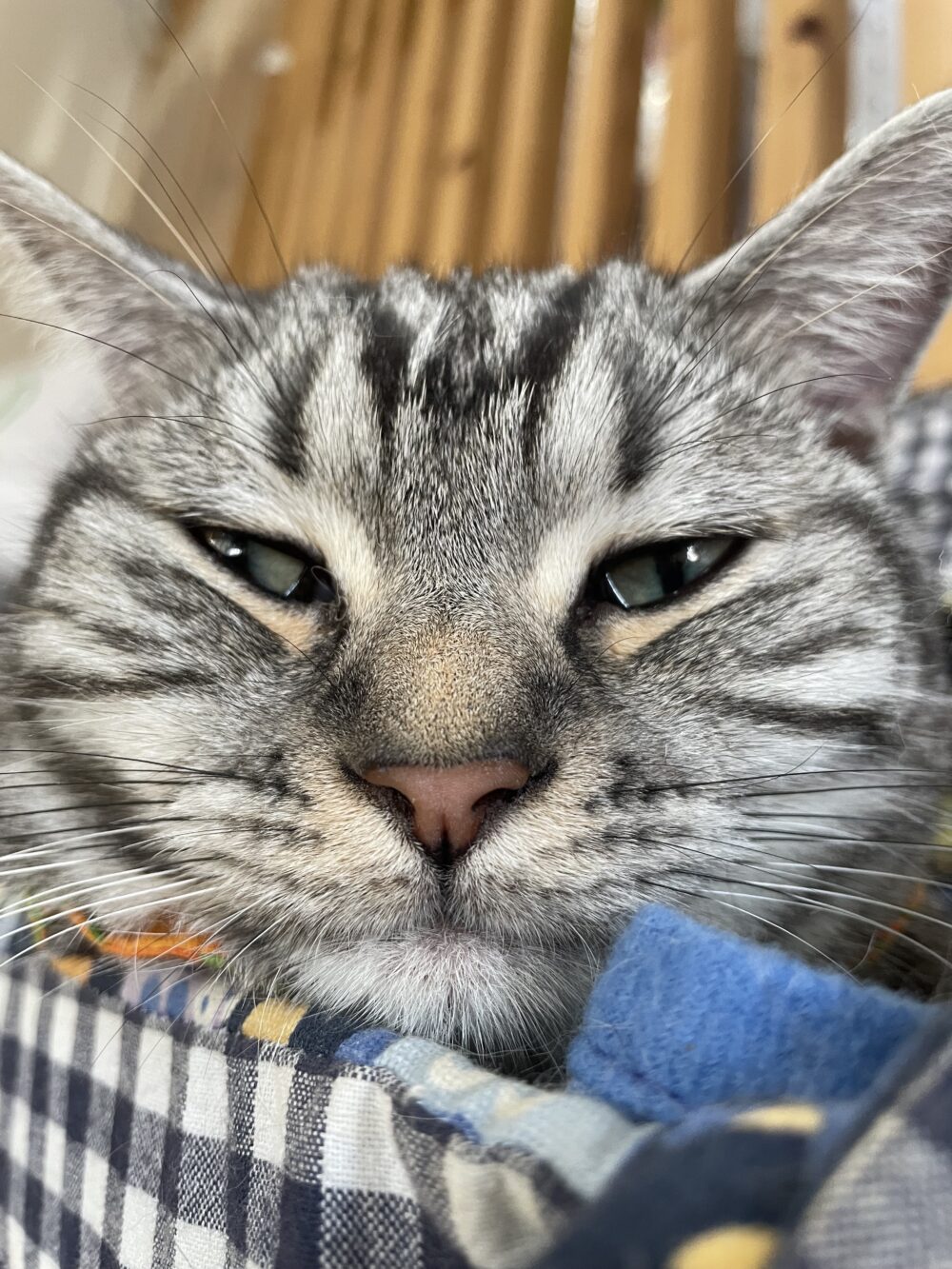 戯れる土曜日😘