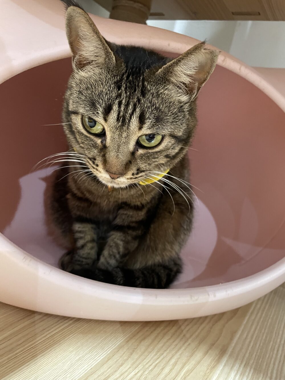 のびのび月曜日😊