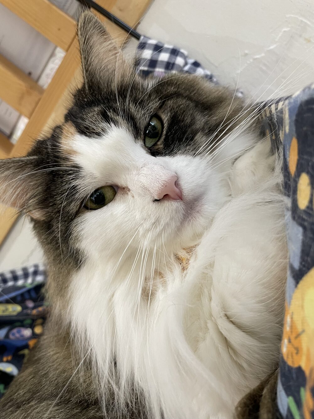 自由気ままな土曜日☺️