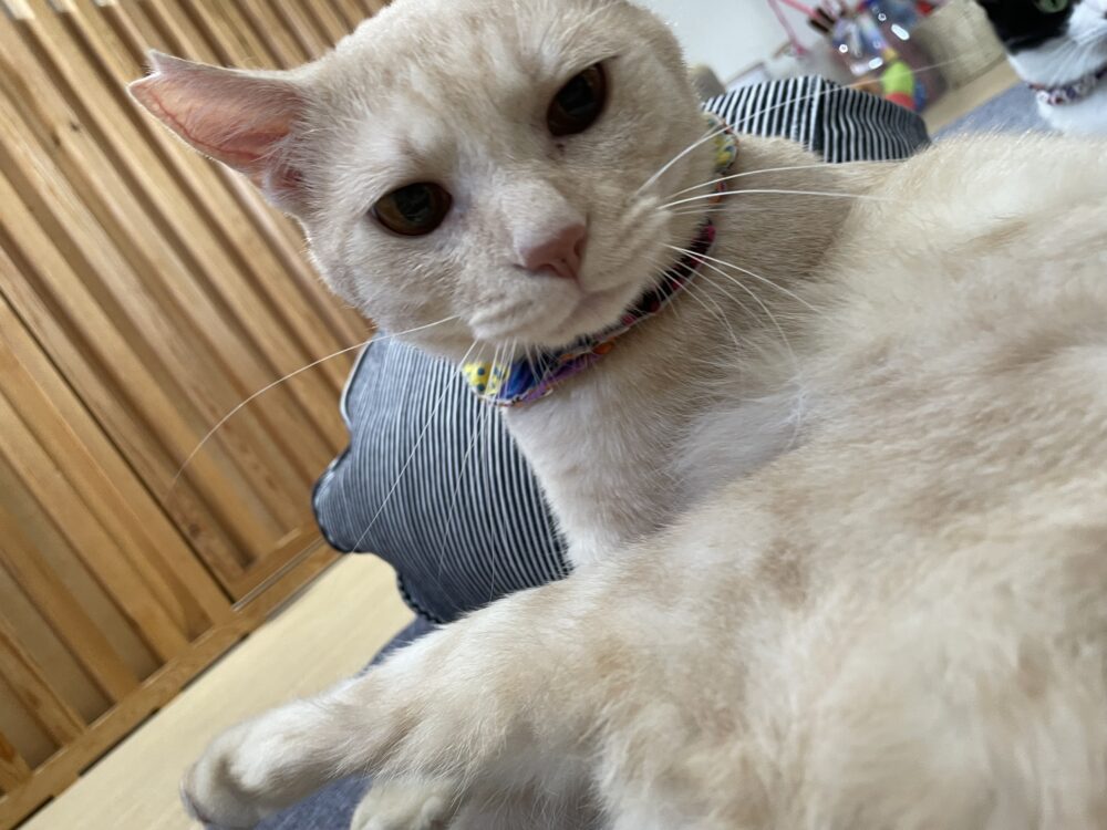 ざわざわ月曜日😄