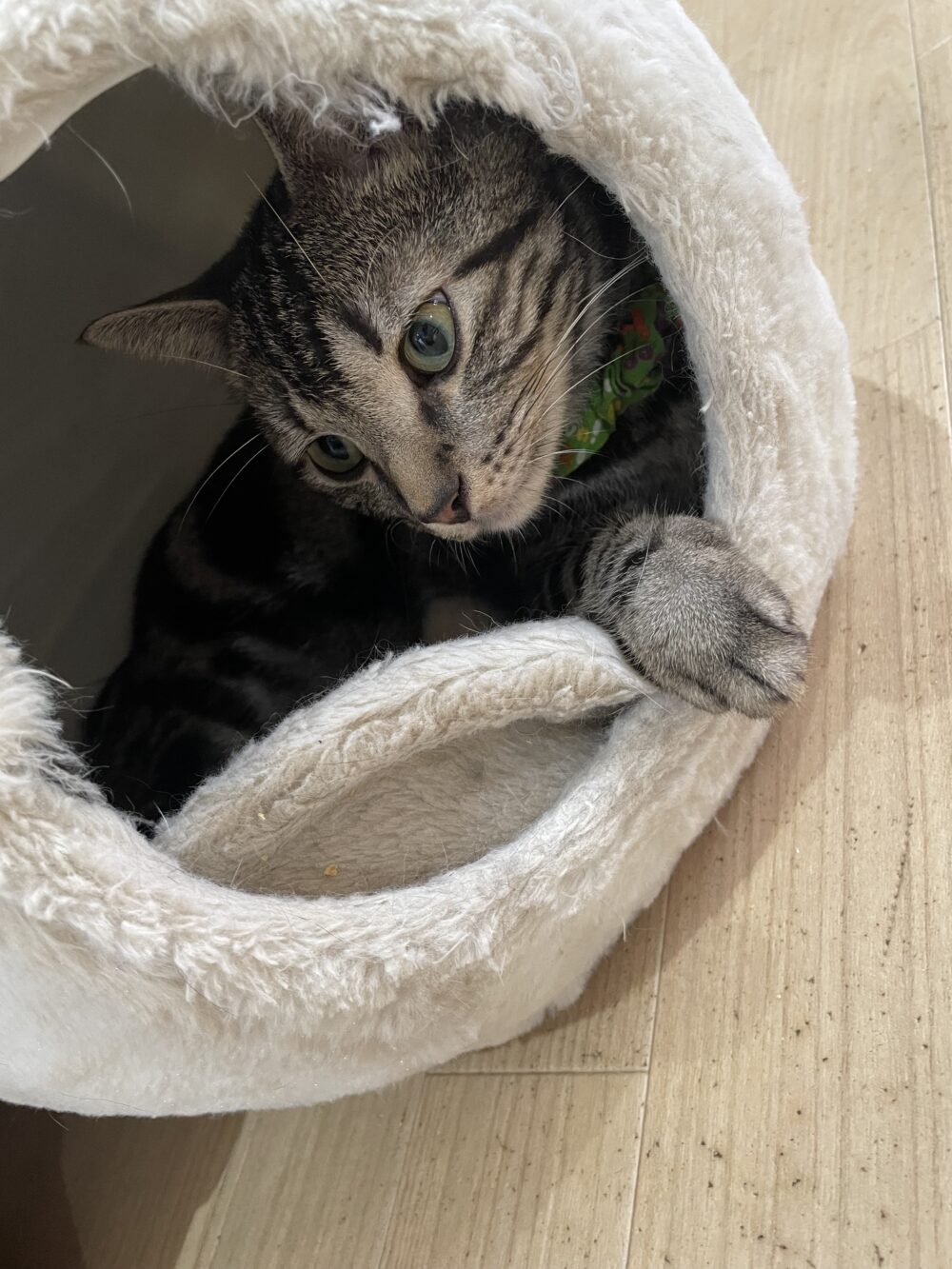 本日は定休日です♪