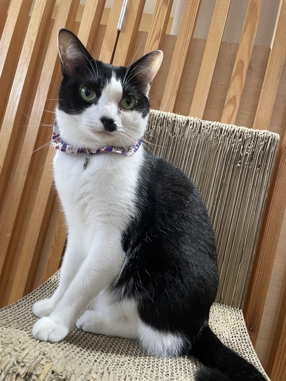 バタバタ金曜日😄