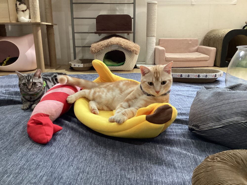 ほのぼの火曜日😊