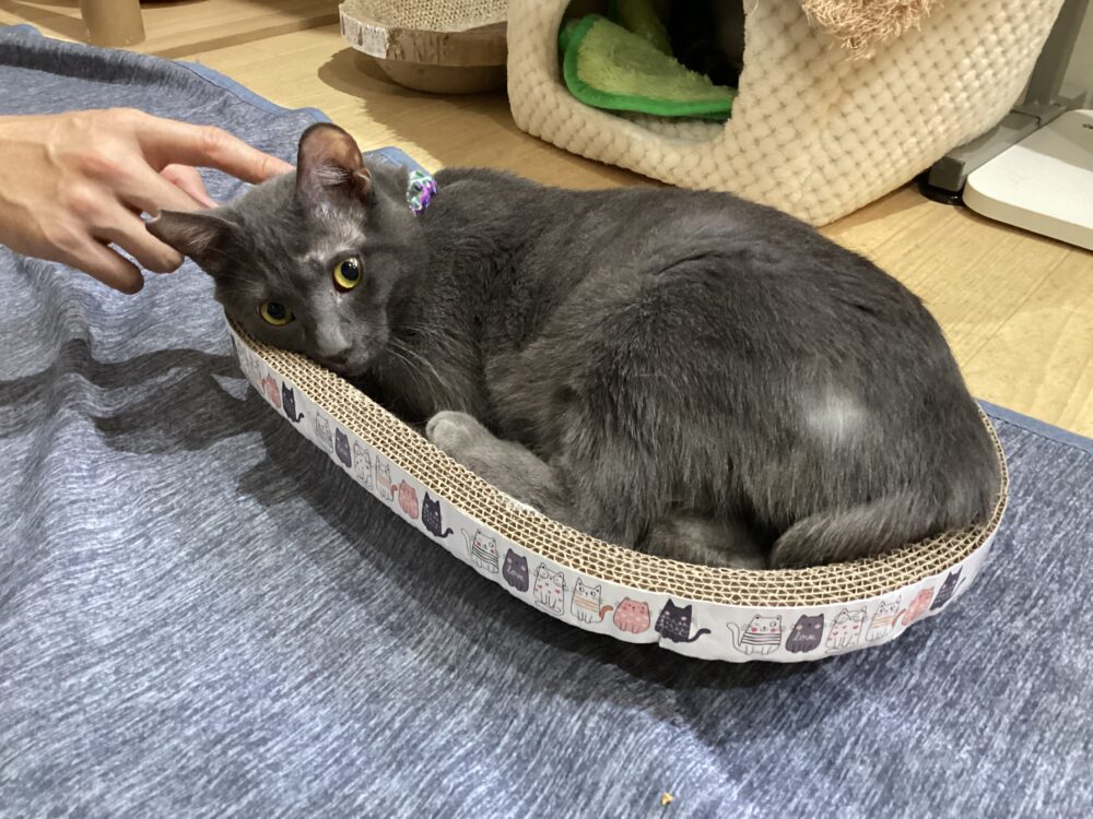 本日は定休日です☺️