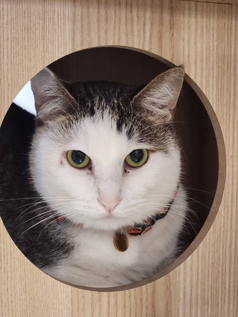 本日は定休日です☺️