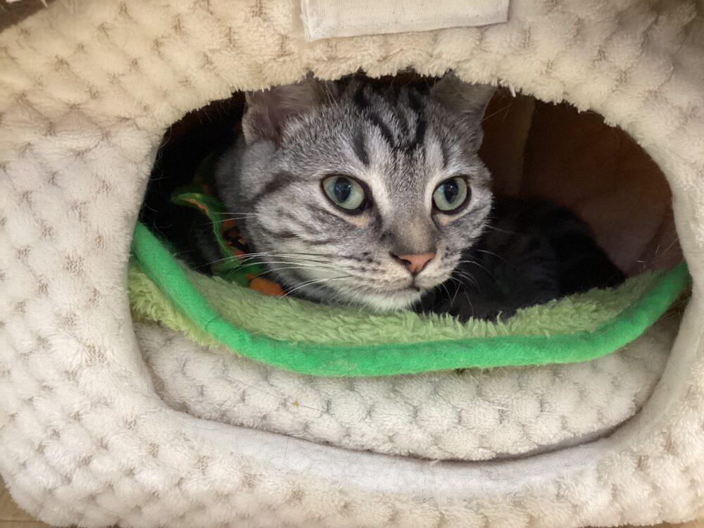 本日も定休日です☺️