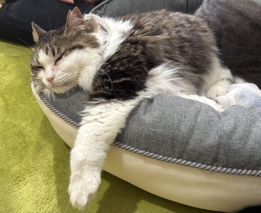 わいわい土曜日😆嬉しいお知らせも