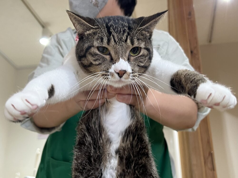 さむ〜い🧊日曜日