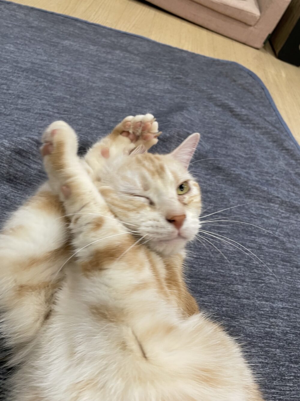 11/4(火)営業時間のお知らせ