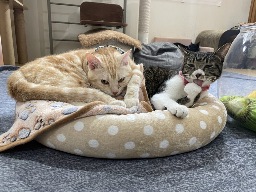 楽しい土曜日😁