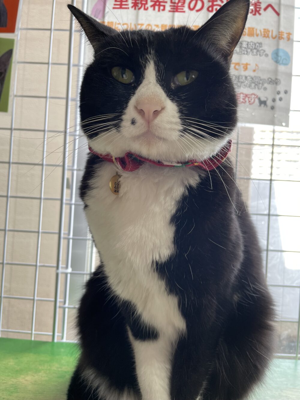 文化の日😆月曜日