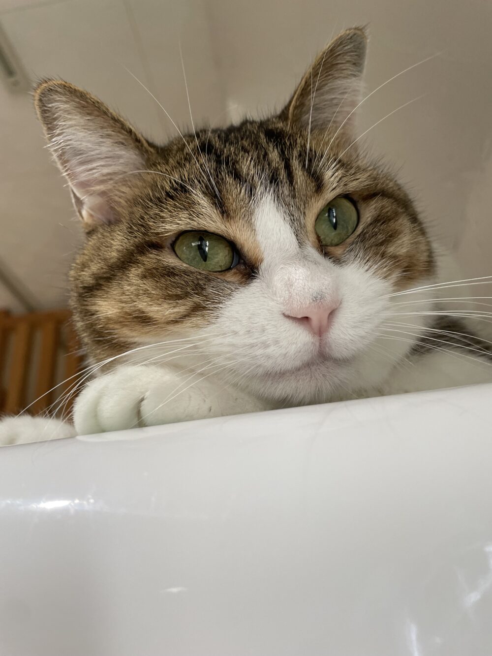 くつろぐ土曜日😄