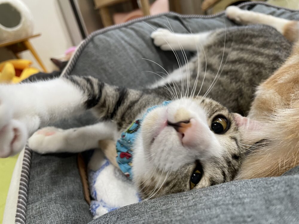 ホカホカ金曜日☺️