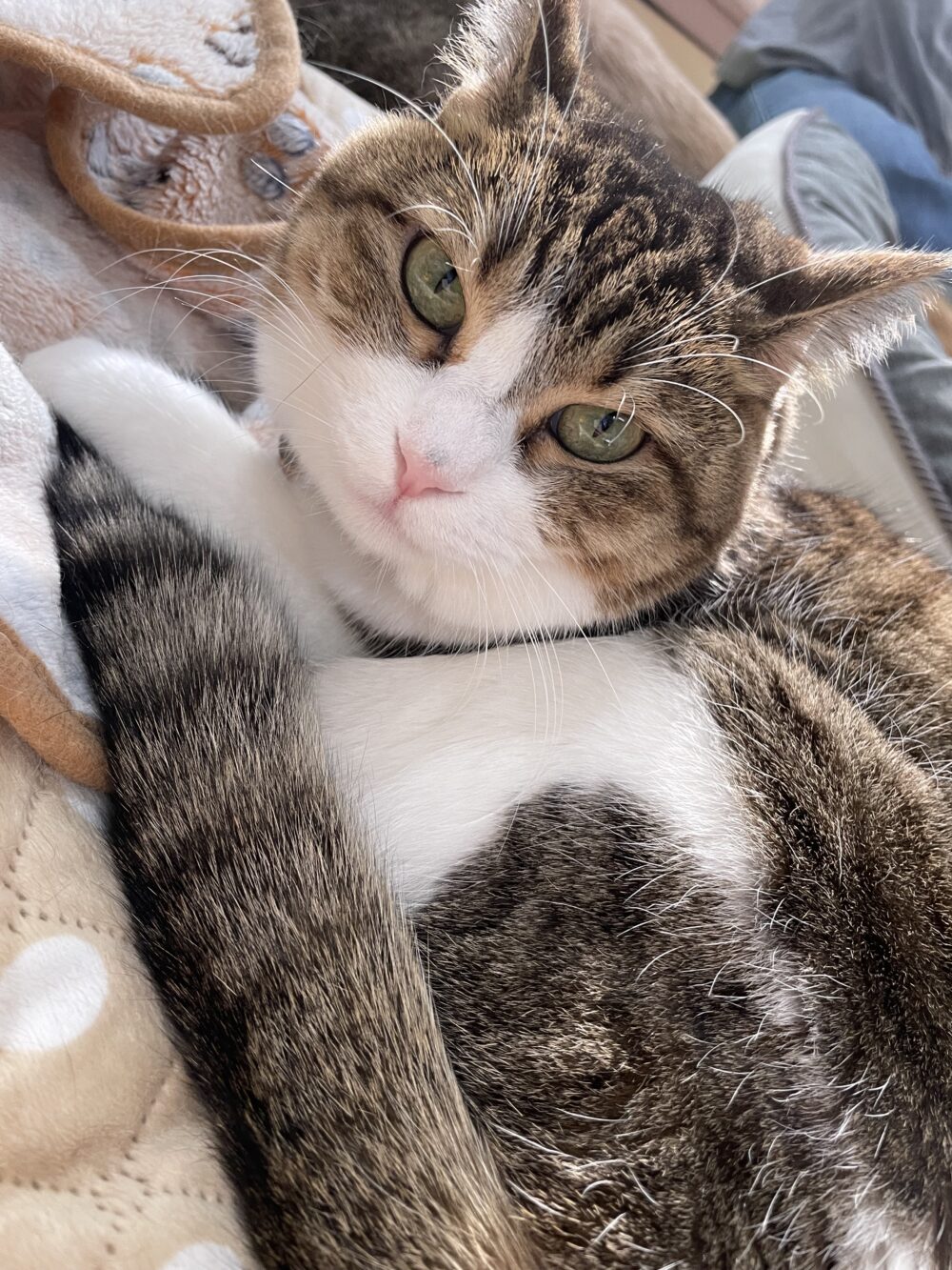 忙しい土曜日😄